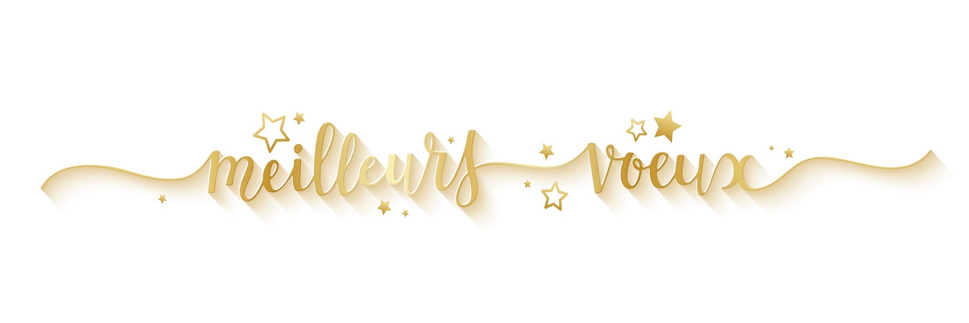 Meilleurs Voeux